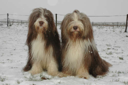 December 29, 2005: Morris & Dexter