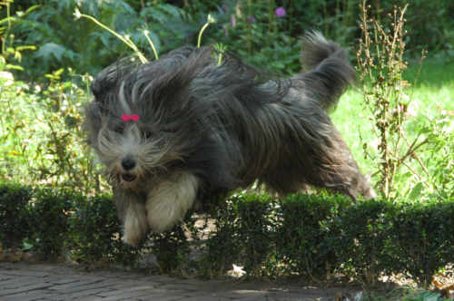 September 19, 2007: 3 years and 4 months old