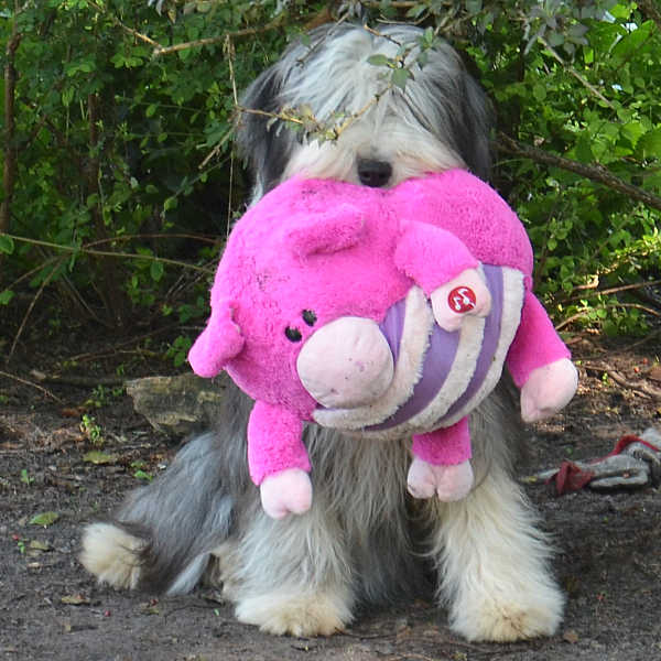 June 27, 2011: on her 1st birthday!!