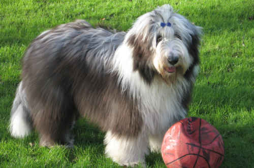 January 2007, 8 months