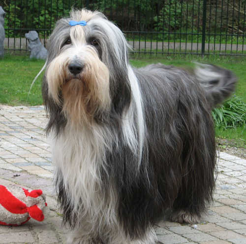 May 9, 2010: on her 4th birthday!
