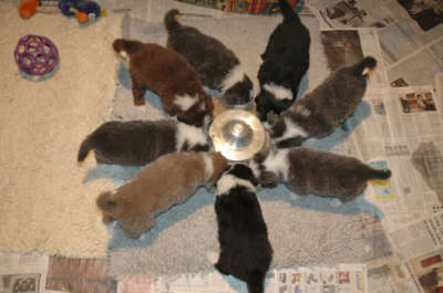 January 28, 2005