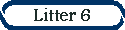 Litter 6