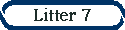 Litter 7