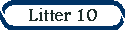 Litter 10