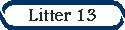 Litter 13