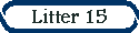 Litter 15