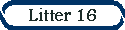 Litter 16